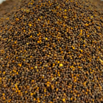 Tulsi Seed (तुलसी बीज) | Basil Seed | Ocimum Sanctum | Natural Ayurvedic Herb | Nikunj Herbs & Jadi Buti