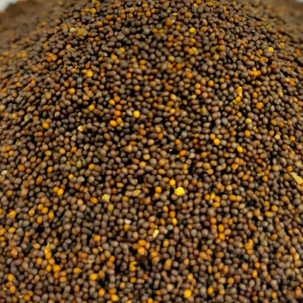 Tulsi Seed (तुलसी बीज) | Basil Seed | Ocimum Sanctum | Natural Ayurvedic Herb | Nikunj Herbs & Jadi Buti